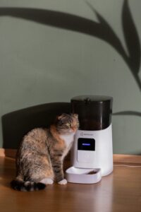cat Automatic Pet Feeder