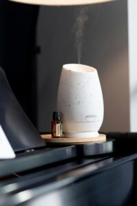 electronic Fragrance Diffuser